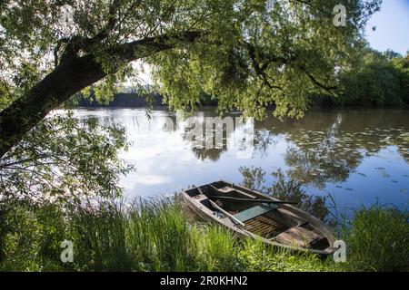 Fischerboot und Baum am Ufer des Flusses Petit Saône, Ray-sur-Saône, Haute-Saône, Bourgogne-Franche-Comté, Frankreich Stockfoto