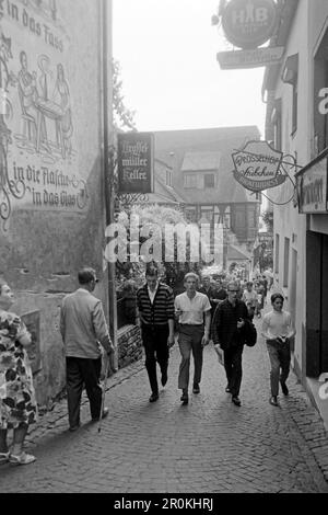 In der Drosselgasse in Rüdesheim, 1961. In der Drosselgasse in Rüdesheim, 1961. Stockfoto