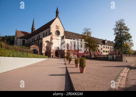 Kloster-Bronnbach-Abtei entlang der Romantischen Straße durch Unteres Taubertal im Herbst, Bronnbach, in der Nähe von Wertheim, Spessart-Mainland, Franc Stockfoto