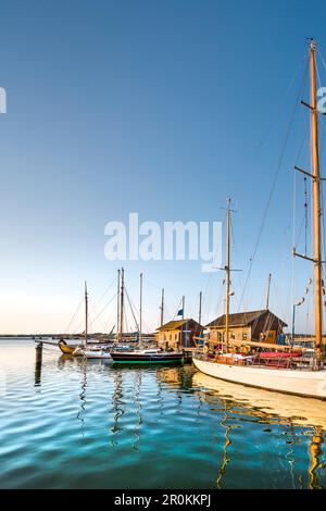 Segeln Yachten in der Marina, Gager, mönchgut, Insel Rügen, Mecklenburg-Vorpommern, Deutschland Stockfoto