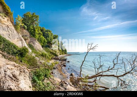 Kreidefelsen in der Nähe von Sassnitz, Jasmund Nationalpark, Insel Rügen, Mecklenburg-Vorpommern, Deutschland Stockfoto