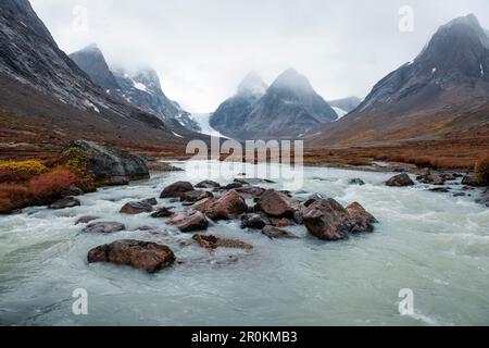 Ein Gletscherstrom milchgrünen Wassers strömt über Felsen in einer bergigen, herbstlichen Tundra-Landschaft, Dronning Marie Dal (Tal), Skjoldungen Fjord, S. Stockfoto