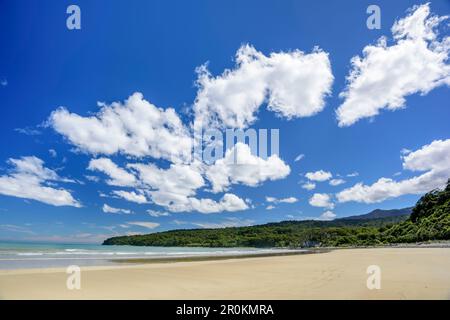 Strand am Tasman Sea, Hump Ridge, Hump Ridge Track, Fiordlands National Park, UNESCO-Weltkulturerbe Te Wahipounamu, Southland, Südinsel, Neuseelan Stockfoto