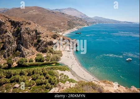 Palmen gesäumten Fluss, Canyon, Preveli, Kreta, Griechenland, Europa Stockfoto