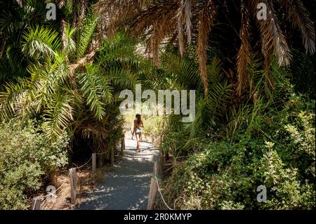 Palmen gesäumten Fluss, Canyon, Preveli, Kreta, Griechenland, Europa Stockfoto