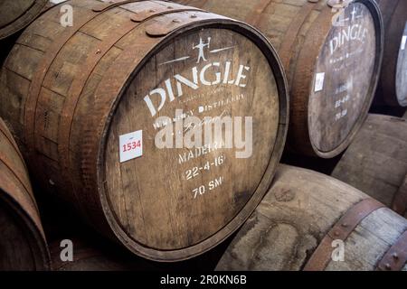 Reifende Eichenfässer, Dingle Whiskey Distillery, Dingle Peninsula, Slea Head Drive, County Kerry, Irland, Wild Atlantic Way, Europa Stockfoto