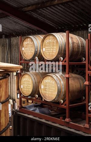 Reifende Eichenfässer, Dingle Whiskey Distillery, Dingle Peninsula, Slea Head Drive, County Kerry, Irland, Wild Atlantic Way, Europa Stockfoto