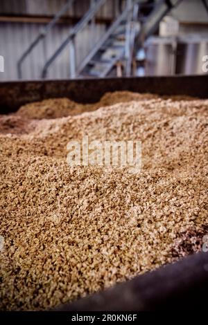 Mash in Dingle Whiskey Distillery, Dingle Peninsula, Slea Head Drive, County Kerry, Irland, Wild Atlantic Way, Europa Stockfoto