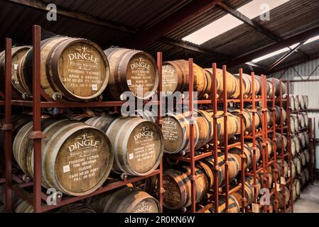 Reifende Eichenfässer, Dingle Whiskey Distillery, Dingle Peninsula, Slea Head Drive, County Kerry, Irland, Wild Atlantic Way, Europa Stockfoto