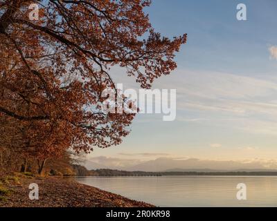 Blick entlang der Ostküste des Starnberger Sees in südlicher Richtung zu den Alpen im Spätherbst, Ambach, Oberbayern, Deutschland Stockfoto