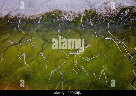 USA, Alaska, Redoubt Bay, Cook Inlet, Blick aus dem Inneren des Wasserflugzeugs nach der Abfahrt von Redoubt Bay zurück nach Anchorage Stockfoto