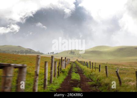 OSTERINSEL, CHILE, Isla de Pascua, Rapa Nui, Straße, die vom Anakena Beach und den Ahu Akivi Moai Statuen führt Stockfoto