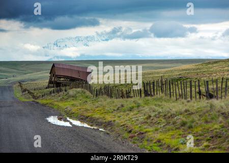 USA, Oregon, Joseph, eine alte Scheune entlang der Straße, die zum Zumwalt Prairie Preserve im Nordosten von Oregon führt und in Richtung Eagle Cap Wilderne blickt Stockfoto