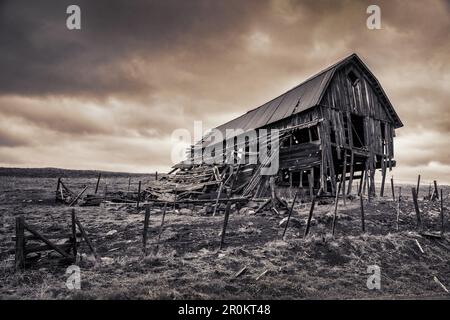 USA, Oregon, Joseph, eine alte Scheune entlang der Straße, die zum Zumwalt Prairie Preserve im Nordosten von Oregon führt Stockfoto