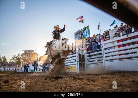 USA, Oregon, Schwestern, Schwestern Rodeo Cowboys reiten eine 2.000 Pfund Stier mit praktisch keine Kontrolle für so lange Sie können Stockfoto