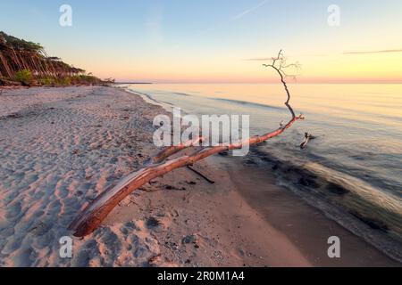 Sonnenuntergang und Treibholz am Strand, Ostsee, Mecklenburg-Vorpommern, Deutschland, Europa Stockfoto