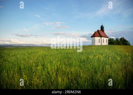 Haldenberg Chapek in Ailingen neben Friedrichshafen, Bodensee, Baden-Württemberg, Deutschland Stockfoto