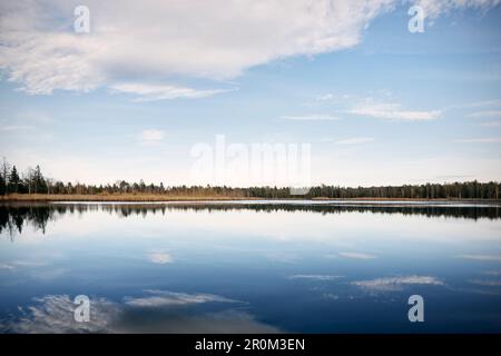 Wildschutzgebiet Wurzach Marsh, Moor Area, Bad Würzach, Landkreis Ravensburg, Baden-Württemberg, Gerany Stockfoto