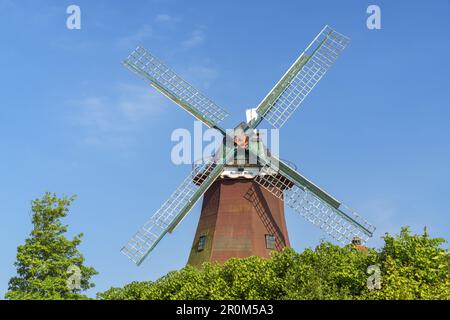 Windmühle Nessmer, Dornum, Ostfriesien, Niedersachsen, Norddeutschland, Deutschland, Europa Stockfoto