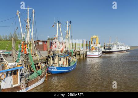 Fischerboote im Hafen der nordfriesischen Insel Pellworm, Nordsee, Schleswig-Holstein, Norddeutschland, Europa Stockfoto