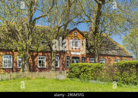 Strohhaus auf der nordfriesischen Insel Pellwurm, Nordsee, Schleswig-Holstein, Norddeutschland, Deutschland, Europa Stockfoto