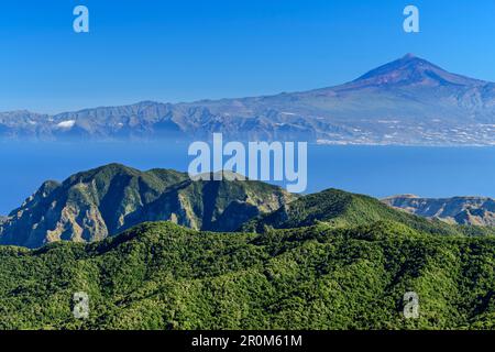 Blick von Alto de Garajonay nach Teneriffa mit Teide, UNESCO-Weltkulturerbe Teide, Nationalpark Garajonay, La Gomera, Kanarischen Inseln, Kanarischen Inseln, Stockfoto