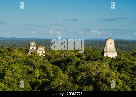 Tikal-Nationalpark: Maya-Kultur in Guatemala, Mittelamerika Stockfoto