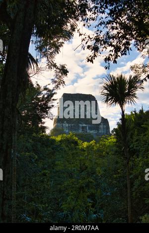 Tikal-Nationalpark: Maya-Kultur in Guatemala, Mittelamerika Stockfoto