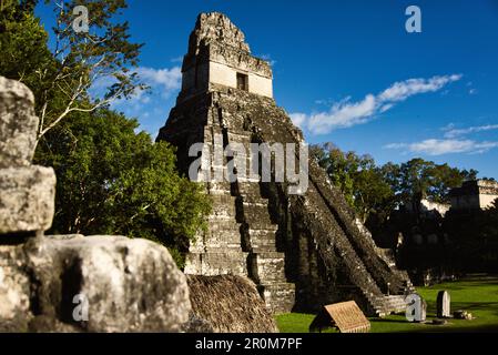 Tikal-Nationalpark: Maya-Kultur in Guatemala, Mittelamerika Stockfoto