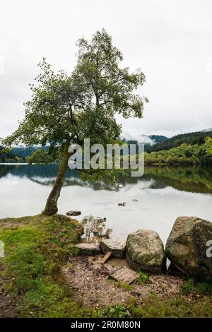 Lac Longemer, Xonrupt-Longemer, Haut-Rhin, Vosges, Frankreich Stockfoto