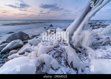 Eisige Küste im Winter am Fuße der Kreideküste nahe Sassnitz, Jasmund-Halbinsel, Insel Rügen, Mecklenburg-Vorpommern, Norddeutschland Stockfoto