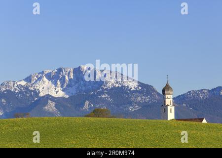 Pfarrkirche St. Peter und Paul vor dem Benediktenwand (1801 m), Antdorf, Oberbayern, Bayern Stockfoto