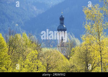 Pfarrkirche St. Jakob in Lenggries im Frühjahr, Tölzer Land, Oberbayern, Bayern, Deutschland Stockfoto
