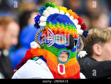 Ein Brighton-Fan während des Premier League-Spiels zwischen Brighton & Hove Albion und Everton im American Express Community Stadium , Brighton , Großbritannien - 8. Mai 2023 Stockfoto