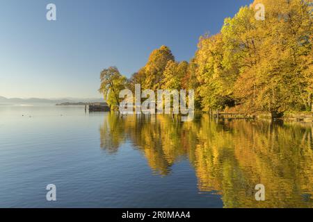 Herbst am Starnberger See in Tutzing, Fünfseenland, Oberbayern, Bayern, Deutschland Stockfoto