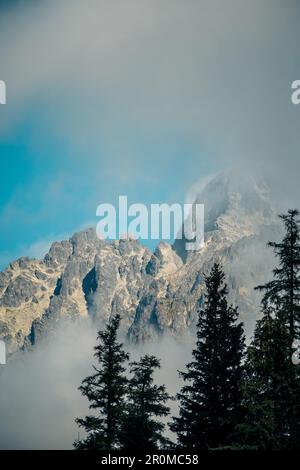 Eine malerische Landschaft mit hohen Bergen und Bäumen im Vordergrund vor einem wolkigen Himmel im Hintergrund Stockfoto