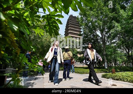 (230509) -- XI'AN, 9. Mai 2023 (Xinhua) -- Touristen besuchen den Jianfu-Tempel in Xi'an, Nordwestchina-Provinz Shaanxi, 8. Mai 2023. XI'an, eine Stadt mit über 3.100 Jahren Geschichte, diente als Hauptstadt für 13 Dynastien in der chinesischen Geschichte. Es ist auch die Heimat der weltberühmten Terrakotta-Krieger, die in der Qin-Dynastie (221-207 v. Chr.) geschaffen wurden. Die kleine Wildgans-Pagode befindet sich im Jianfu-Tempel und wurde während der Herrschaft des Kaisers Zhongzong der Tang-Dynastie (618-907) in der Jinglong-Zeit (701-710) erbaut, um die buddhistischen Sutras von Mönch Yi Jing zu speichern. (Foto: Zou Jingyi/Xinhua) Stockfoto