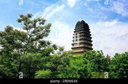 (230509) -- XI'AN, 9. Mai 2023 (Xinhua) -- Dieses Luftfoto wurde am 8. Mai 2023 aufgenommen und zeigt einen Blick auf die kleine Wildganspagode in Xi'an, Nordwestchina der Provinz Shaanxi. XI'an, eine Stadt mit über 3.100 Jahren Geschichte, diente als Hauptstadt für 13 Dynastien in der chinesischen Geschichte. Es ist auch die Heimat der weltberühmten Terrakotta-Krieger, die in der Qin-Dynastie (221-207 v. Chr.) geschaffen wurden. Die kleine Wildgans-Pagode befindet sich im Jianfu-Tempel und wurde während der Herrschaft des Kaisers Zhongzong der Tang-Dynastie (618-907) in der Jinglong-Zeit (701-710) erbaut, um die buddhistischen Sutras von Mönch Yi Ji zu speichern Stockfoto