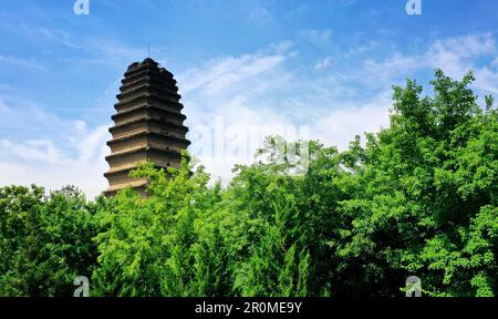 (230509) -- XI'AN, 9. Mai 2023 (Xinhua) -- Dieses Luftfoto wurde am 8. Mai 2023 aufgenommen und zeigt einen Blick auf die kleine Wildganspagode in Xi'an, Nordwestchina der Provinz Shaanxi. XI'an, eine Stadt mit über 3.100 Jahren Geschichte, diente als Hauptstadt für 13 Dynastien in der chinesischen Geschichte. Es ist auch die Heimat der weltberühmten Terrakotta-Krieger, die in der Qin-Dynastie (221-207 v. Chr.) geschaffen wurden. Die kleine Wildgans-Pagode befindet sich im Jianfu-Tempel und wurde während der Herrschaft des Kaisers Zhongzong der Tang-Dynastie (618-907) in der Jinglong-Zeit (701-710) erbaut, um die buddhistischen Sutras von Mönch Yi Ji zu speichern Stockfoto