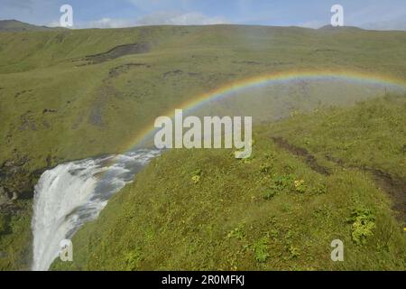 Skogafoss, Island von oben Stockfoto