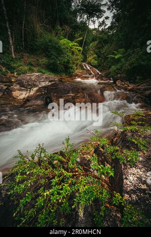 Eine wunderschöne Landschaft, geformt durch einen Wasserfall mit Wasserfluss, Fluss und umgeben von Bäumen und grüner Vegetation in der Mitte des Waldes. Stockfoto