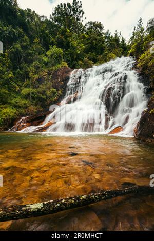 Eine wunderschöne Landschaft, geformt durch einen Wasserfall mit Wasserfluss, Fluss und umgeben von Bäumen und grüner Vegetation in der Mitte des Waldes. Stockfoto