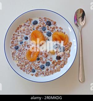 Eine Schüssel mit Müsli nach Schweizer Art und getrockneten Früchten, Vollmilch, mit Löffel für einen gesunden Start - Blaubeeren, Aprikosen, Rosinen, Hafer Stockfoto