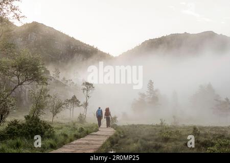 Eine hölzerne Fußgängerbrücke führt Wanderer mit einem Rucksack über das Moor durch einen kleinen Wald, der morgens noch neblig ist. Lysefjord. Kanzelfelsen. Norwegen Stockfoto