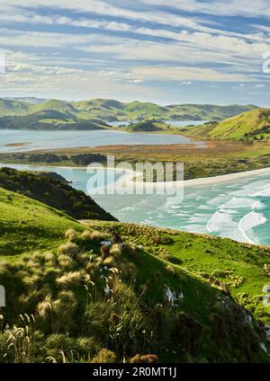 Allans Beach aus dem Sandymount Recreation Reserve, Otago, South Island, Neuseeland, Oceania Stockfoto