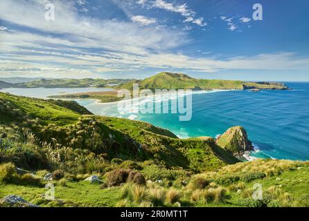 Allans Beach aus dem Sandymount Recreation Reserve, Otago, South Island, Neuseeland, Oceania Stockfoto