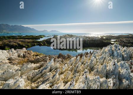 Felsformationen auf der Kaikoura-Halbinsel, Canterbury, Südinsel, Neuseeland, Oceania Stockfoto