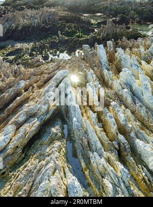 Felsformationen auf der Kaikoura-Halbinsel, Canterbury, Südinsel, Neuseeland, Oceania Stockfoto