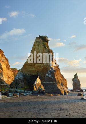 Küste bei den Three Sisters, Taranaki, Nordinsel, Neuseeland, Oceania Stockfoto