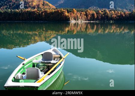 Ruderboot auf dem Sylvensteinsee, Herbstwald im Hintergrund, Lenggries, Bayern, Deutschland Stockfoto